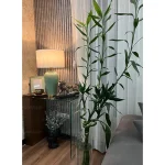 میز کنسول شیشه ای یک طرف خم مدل هیبرید طرح تینا